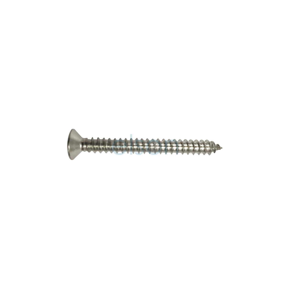 PAN SCREW 50MM S/S