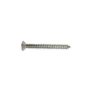 PAN SCREW 65MM S/S