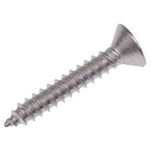 PAN SCREWS 25MM S/S