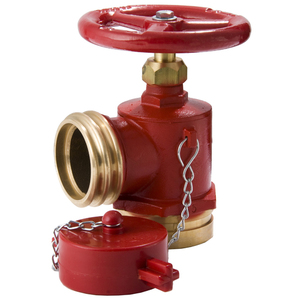 LANDING VALVE R/G