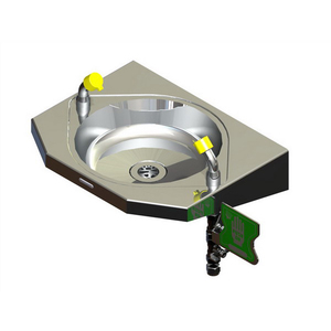 EYE WASH WALL MOUNTED S/S