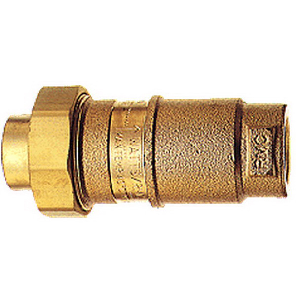 DUAL CHECK VALVE F&F 20MM BRS