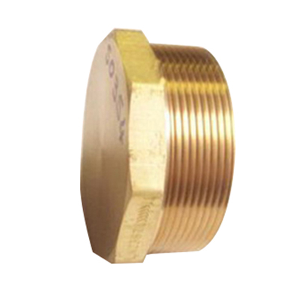 PLUG BRASS 65MM